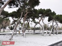 Bəyaza bürünmüş Bakı (FOTO)