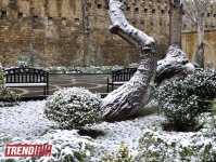 Bəyaza bürünmüş Bakı (FOTO)