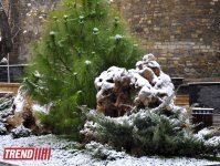 Bəyaza bürünmüş Bakı (FOTO)