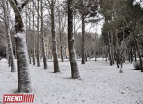 Bəyaza bürünmüş Bakı (FOTO)