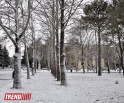 Bəyaza bürünmüş Bakı (FOTO)