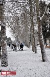 Bəyaza bürünmüş Bakı (FOTO)