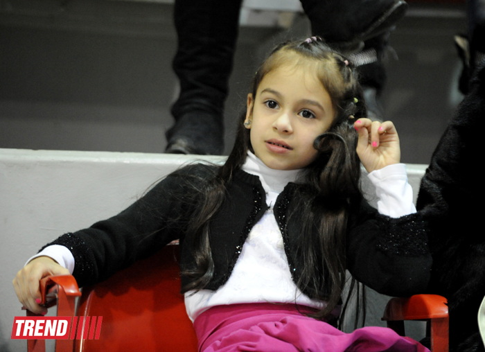 Bədii gimnastika üzrə XX Bakı birinciliyinin ilk qalibləri müəyyənləşib (FOTO)