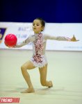 Bədii gimnastika üzrə XX Bakı birinciliyinin ilk qalibləri müəyyənləşib (FOTO)