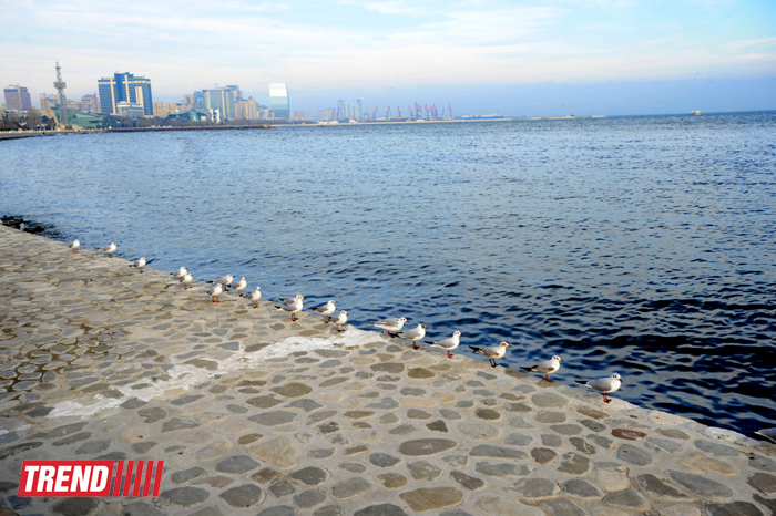 Xəzəri qucaqlayan Bakı buxtası (FOTO)