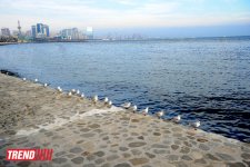 Xəzəri qucaqlayan Bakı buxtası (FOTO)