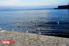 Xəzəri qucaqlayan Bakı buxtası (FOTO)