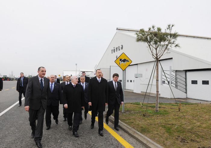Prezident İlham Əliyev Qəbələ heyvandarlıq-südçülük kompleksinin açılışında iştirak edib (FOTO)