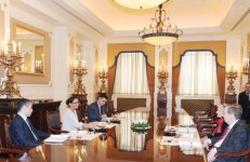 Azərbaycanın birinci xanımı Mehriban Əliyeva bir sıra görüşlər keçirib (FOTO)