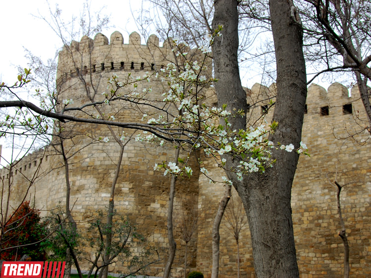 İlıq nəfəsli, yaşıl libaslı, duman örpəkli bahar (FOTO)
