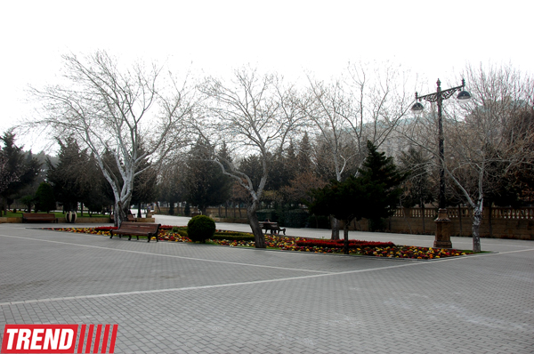 İlıq nəfəsli, yaşıl libaslı, duman örpəkli bahar (FOTO)