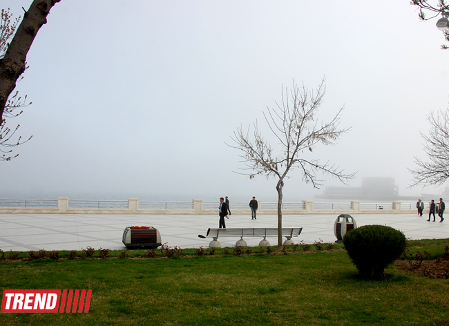 İlıq nəfəsli, yaşıl libaslı, duman örpəkli bahar (FOTO)