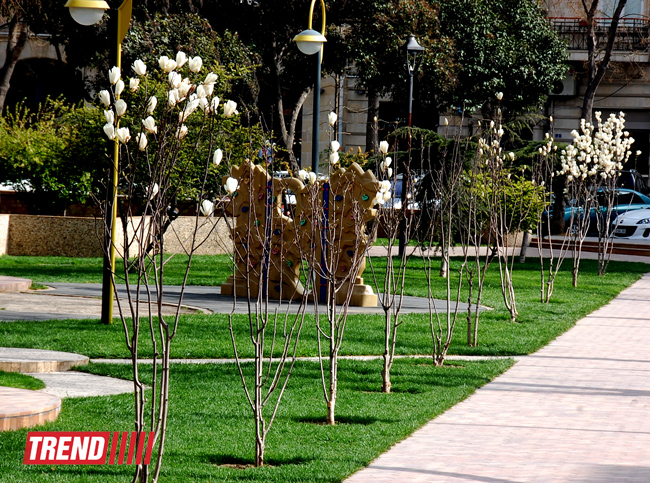 İlıq nəfəsli, yaşıl libaslı, duman örpəkli bahar (FOTO)