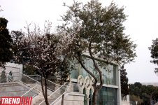İlıq nəfəsli, yaşıl libaslı, duman örpəkli bahar (FOTO)
