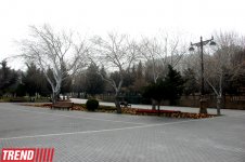 İlıq nəfəsli, yaşıl libaslı, duman örpəkli bahar (FOTO)