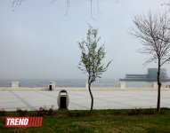 İlıq nəfəsli, yaşıl libaslı, duman örpəkli bahar (FOTO)