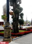İlıq nəfəsli, yaşıl libaslı, duman örpəkli bahar (FOTO)