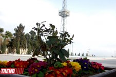 İlıq nəfəsli, yaşıl libaslı, duman örpəkli bahar (FOTO)
