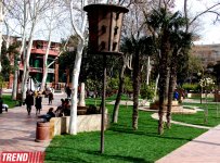İlıq nəfəsli, yaşıl libaslı, duman örpəkli bahar (FOTO)
