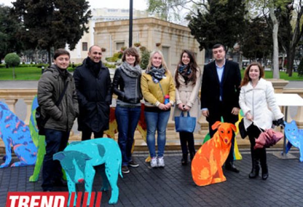 "YARAT!" rusiyalı dizayner və rəssam Nataliya Pastuxovanın "Yaxşı it" layihəsini təqdim edib (FOTO)