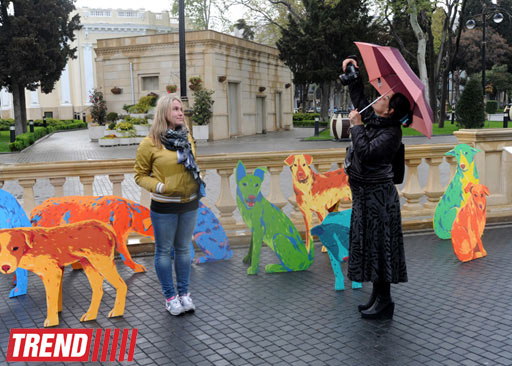 "YARAT!" rusiyalı dizayner və rəssam Nataliya Pastuxovanın "Yaxşı it" layihəsini təqdim edib (FOTO)