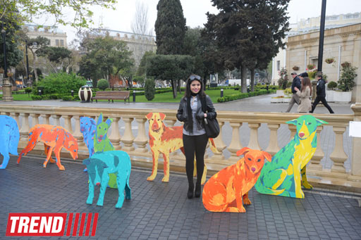 "YARAT!" rusiyalı dizayner və rəssam Nataliya Pastuxovanın "Yaxşı it" layihəsini təqdim edib (FOTO)