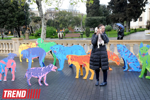 "YARAT!" rusiyalı dizayner və rəssam Nataliya Pastuxovanın "Yaxşı it" layihəsini təqdim edib (FOTO)