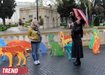"YARAT!" rusiyalı dizayner və rəssam Nataliya Pastuxovanın "Yaxşı it" layihəsini təqdim edib (FOTO)