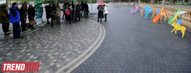 "YARAT!" rusiyalı dizayner və rəssam Nataliya Pastuxovanın "Yaxşı it" layihəsini təqdim edib (FOTO)