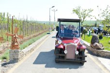 Prezident İlham Əliyev Qobustan Bağ-Bağat Mərkəzində yaradılmış şəraitlə tanış olub (FOTO)