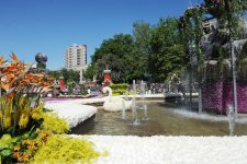 Azərbaycan Prezidenti İlham Əliyev və xanımı Gül bayramında iştirak ediblər (ƏLAVƏ OLUNUB) (FOTO)