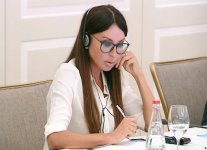 Mehriban Əliyevanın sədrliyi ilə Bakıda keçiriləcək ilk Avropa Oyunlarının Təşkilat Komitəsinin ikinci iclası olub (FOTO)