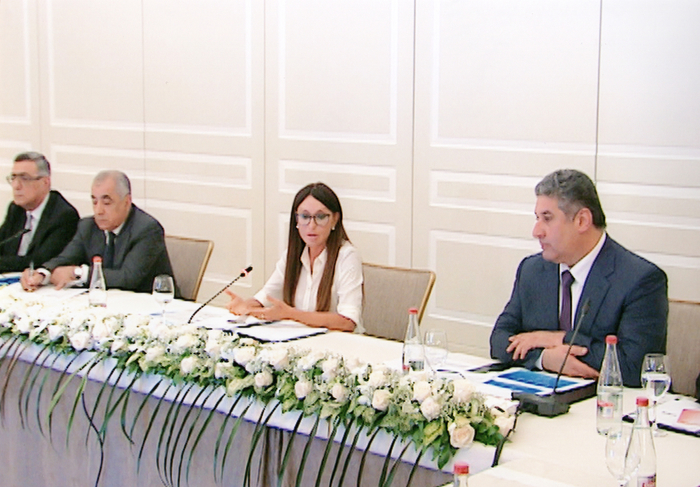 Mehriban Əliyevanın sədrliyi ilə Bakıda keçiriləcək ilk Avropa Oyunlarının Təşkilat Komitəsinin ikinci iclası olub (FOTO)