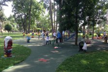 Ukraynada tanınmış oftalmoloq Zərifə Əliyevanın adını daşıyan parkda ekoloji tədbir keçirilib (FOTO)