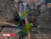 Bakı zooparkında bir gün (FOTO)
