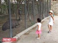 Bakı zooparkında bir gün (FOTO)