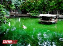 Bakı zooparkında bir gün (FOTO)