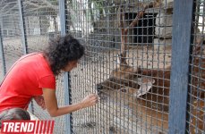 Bakı zooparkında bir gün (FOTO)