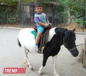 Bakı zooparkında bir gün (FOTO)