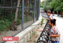Bakı zooparkında bir gün (FOTO)