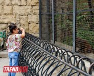 Bakı zooparkında bir gün (FOTO)