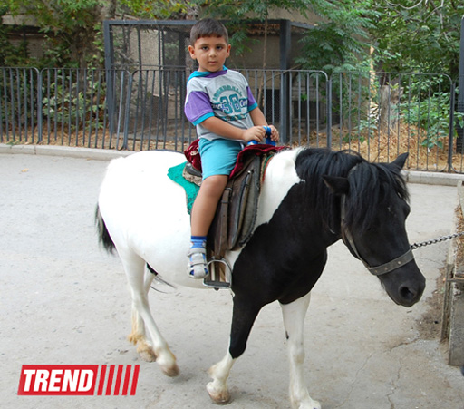 Bakı zooparkında bir gün (FOTO)