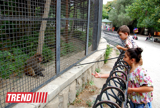 Bakı zooparkında bir gün (FOTO)