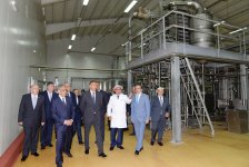 Prezident İlham Əliyev Kürdəmirdə heyvandarlıq və süd kompleksi ilə tanış olub (FOTO)