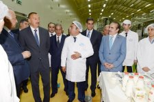 Prezident İlham Əliyev Kürdəmirdə heyvandarlıq və süd kompleksi ilə tanış olub (FOTO)