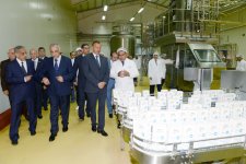 Prezident İlham Əliyev Kürdəmirdə heyvandarlıq və süd kompleksi ilə tanış olub (FOTO)