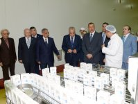 Prezident İlham Əliyev Kürdəmirdə heyvandarlıq və süd kompleksi ilə tanış olub (FOTO)