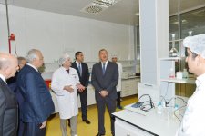 Prezident İlham Əliyev Kürdəmirdə heyvandarlıq və süd kompleksi ilə tanış olub (FOTO)