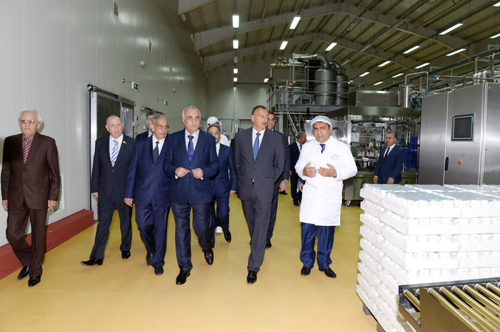 Prezident İlham Əliyev Kürdəmirdə heyvandarlıq və süd kompleksi ilə tanış olub (FOTO)