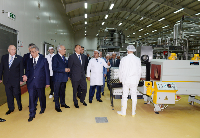 Prezident İlham Əliyev Kürdəmirdə heyvandarlıq və süd kompleksi ilə tanış olub (FOTO)